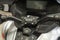 2024 Can-Am Spyder Limited